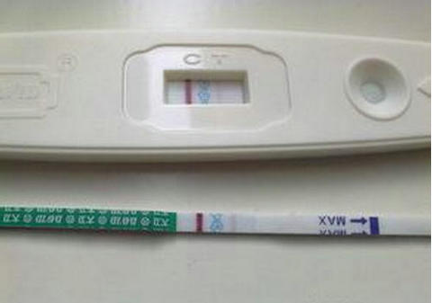 供卵联系方式